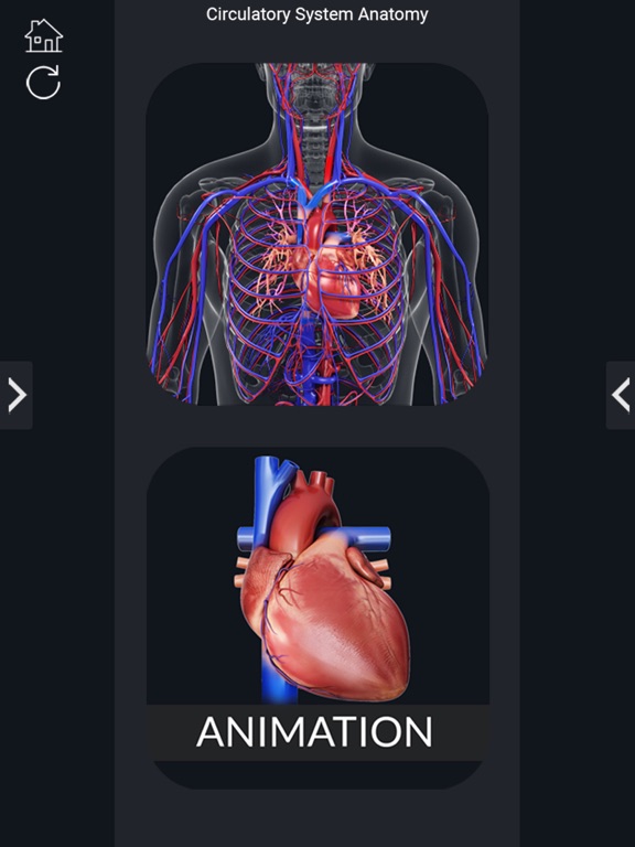 Screenshot #5 pour My Circulatory System Anatomy