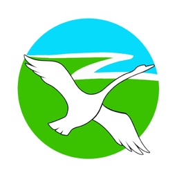 活力新左旗