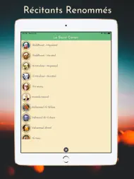 Radio Coran Recitation ipad bilder 2