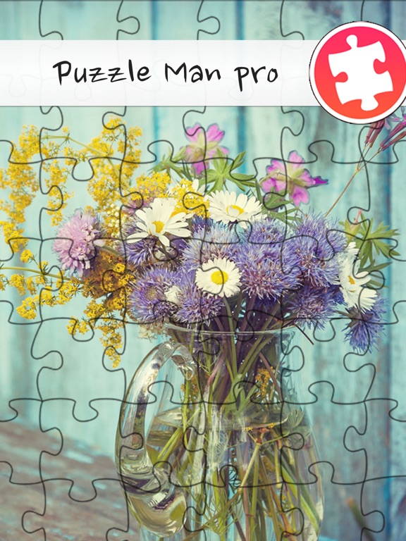 Screenshot #1 for Puzzle Man Pro