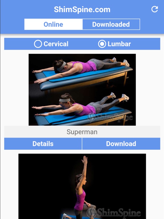 Screenshot #5 pour ShimSpine Exercises