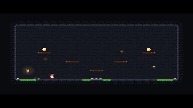 Dandy Cave Adventures!