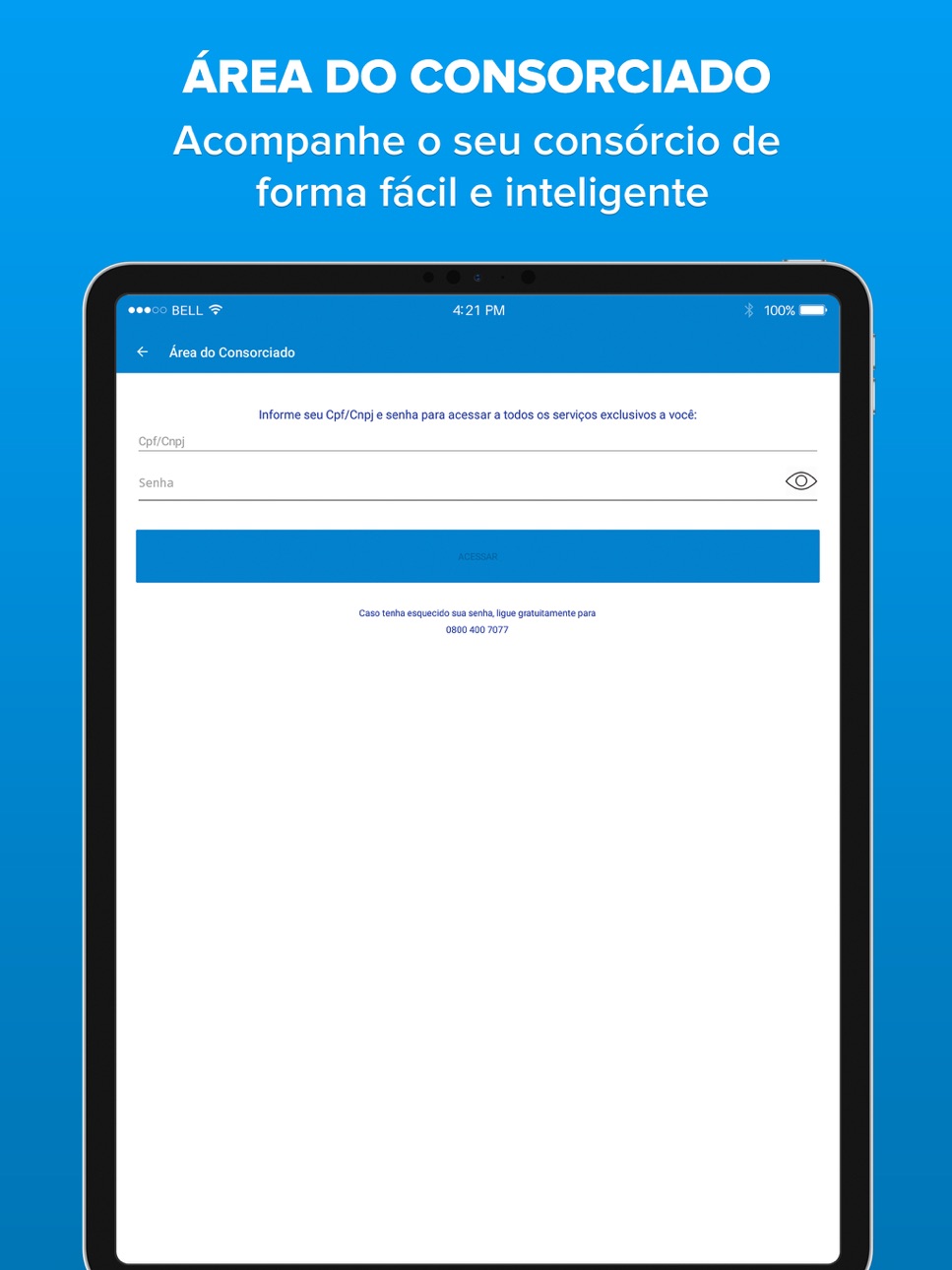iPad screenshot