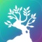 Away is a white noise app that features beautiful imagery and a plethora of nature sounds and music