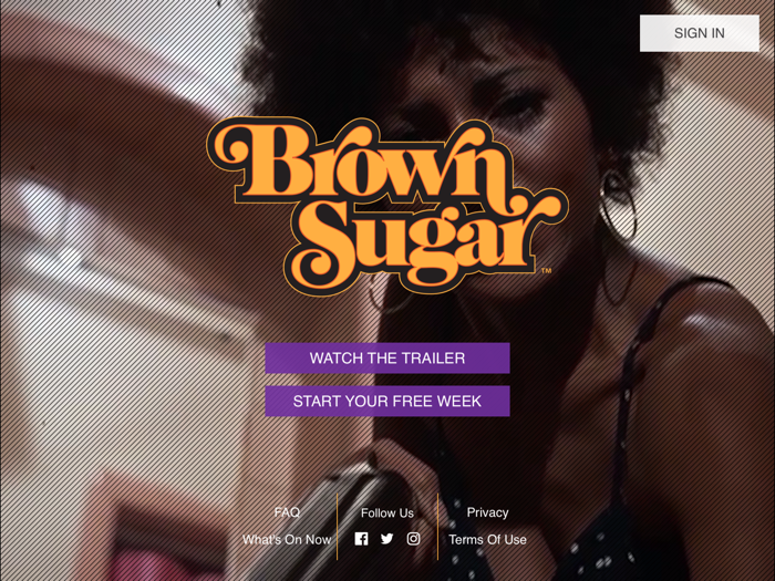 Brown Sugar - Badass Cinema