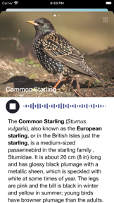 Bird Song/Photo Identification screenshot