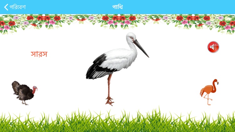 Bangla Alphabet screenshot-7