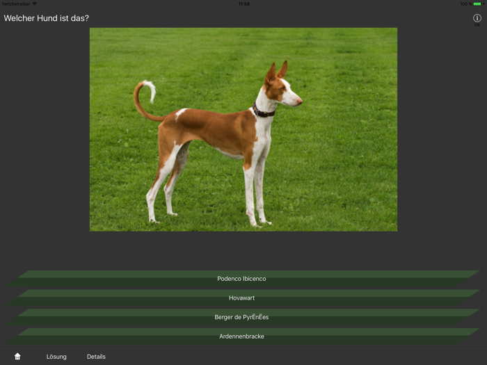 Hunderassen Quiz