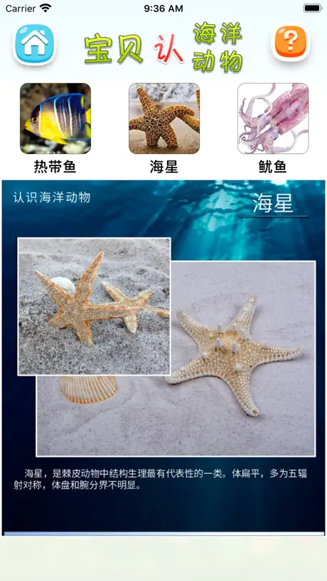 认海洋动物