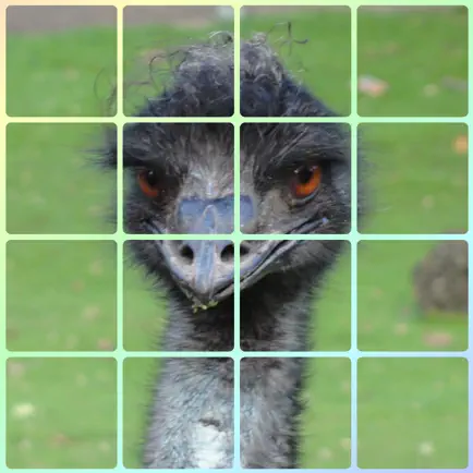 4x4 - Sliding Square Puzzle Читы