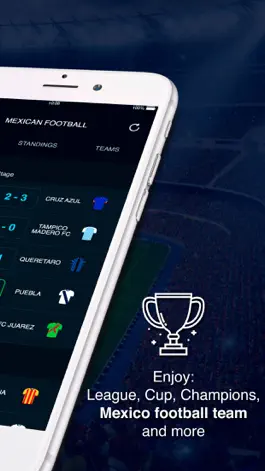 Game screenshot Mexican Football Scores apk