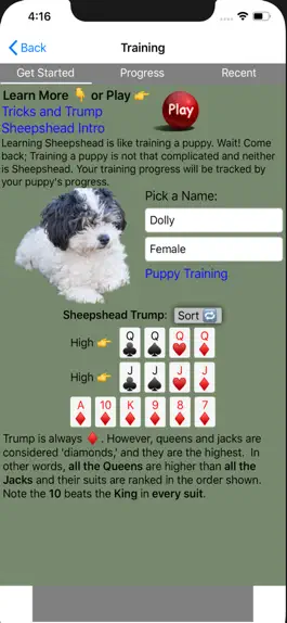 Game screenshot K9 Sheepshead: Schafkopf Cards apk