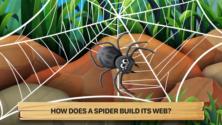 Bugs 2: What Are They Like? screenshot-4
