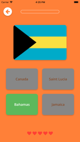 Flags 4 Fun screenshot