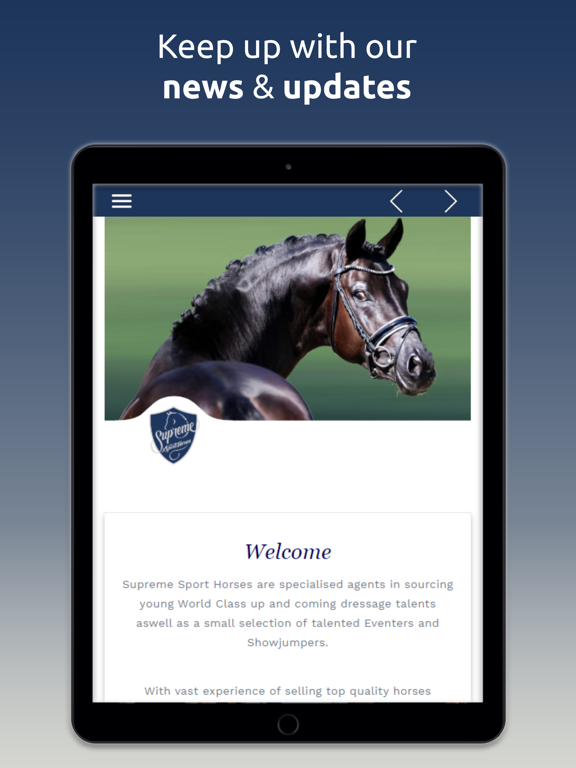 Screenshot #4 pour Supreme Sport Horses