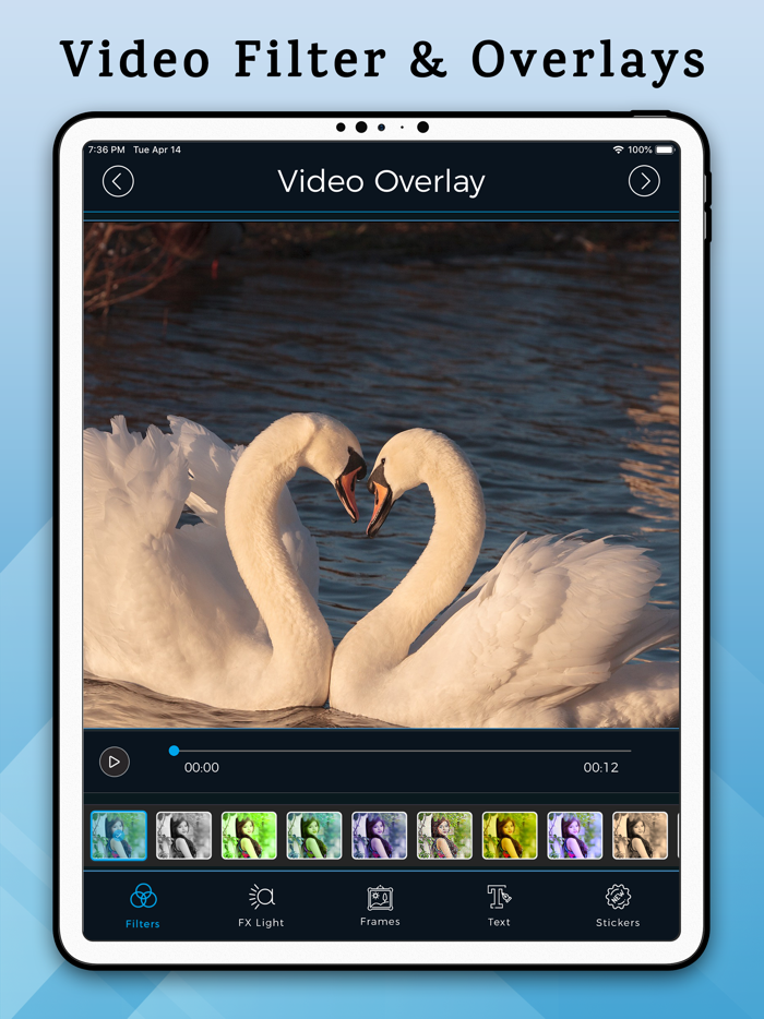 Video Crop - Trim Crop and Edit