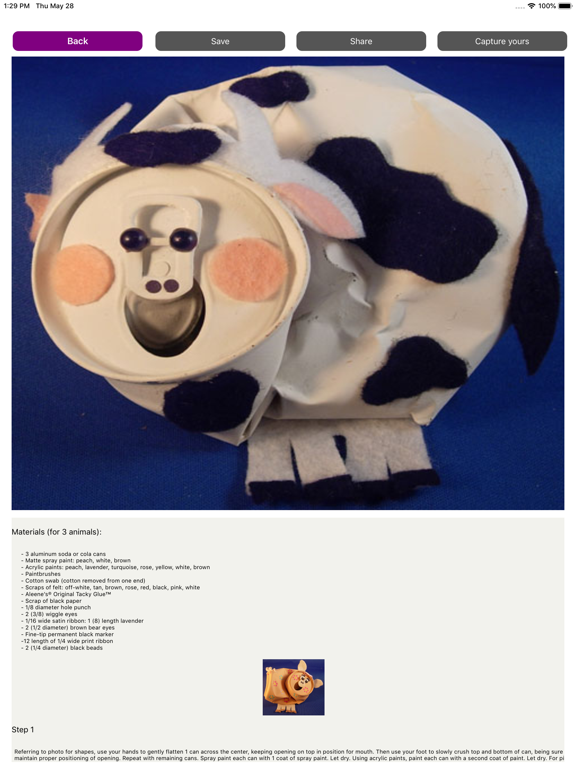 DIY Recycle Crafts Ideas iPad screenshot 2 - Lifestyle app