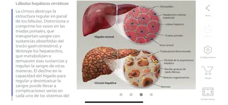 Fisiología & Patología