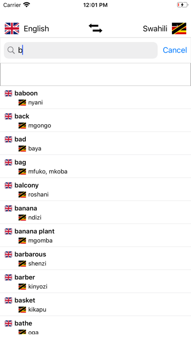 Swahili-English Dictionary Screenshot