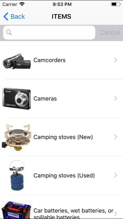 DG  Crew  2020 screenshot-8