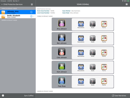 Screenshot #5 pour Compass CoPilot
