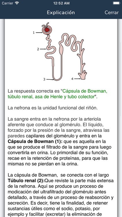 Estudia Plus screenshot-3