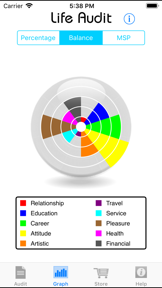 Life Audit screenshot
