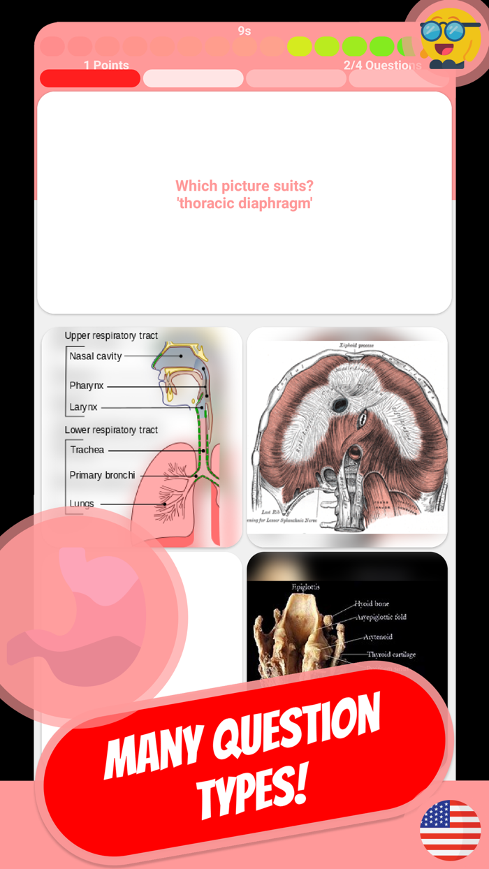 ANATOMY  SKELETON Quiz
