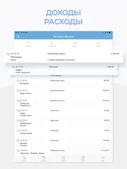 Расходы и Доходы 1С айпад изображения 1