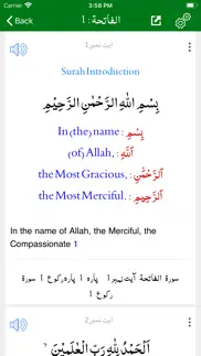 tafheem ul quran - english iphone screenshot 3