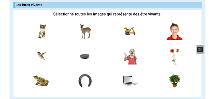 LN - Questionner le monde