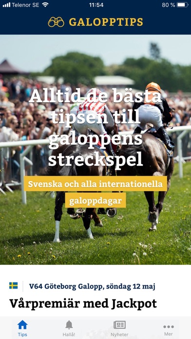 Galopptips.se Screenshot