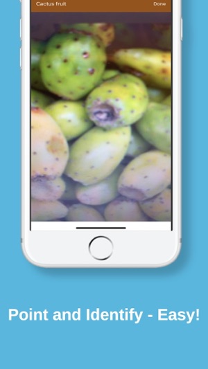 Ingrify(圖3)-速報App