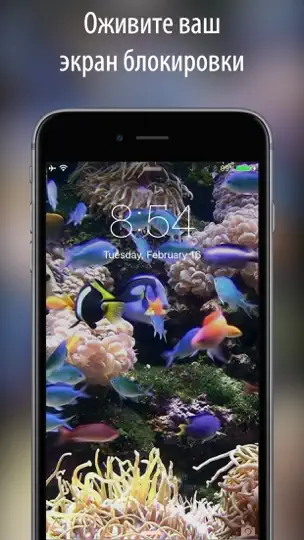 Скриншот живые обои и темы для экрана+ на iPhone 2
