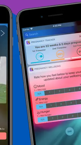 Game screenshot Pregnancy Today - Baby Tracker hack