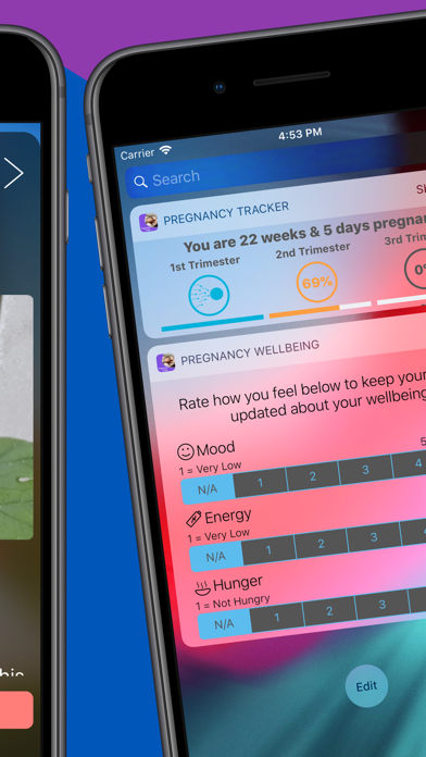 Pregnancy Today - Baby Tracker Screenshot