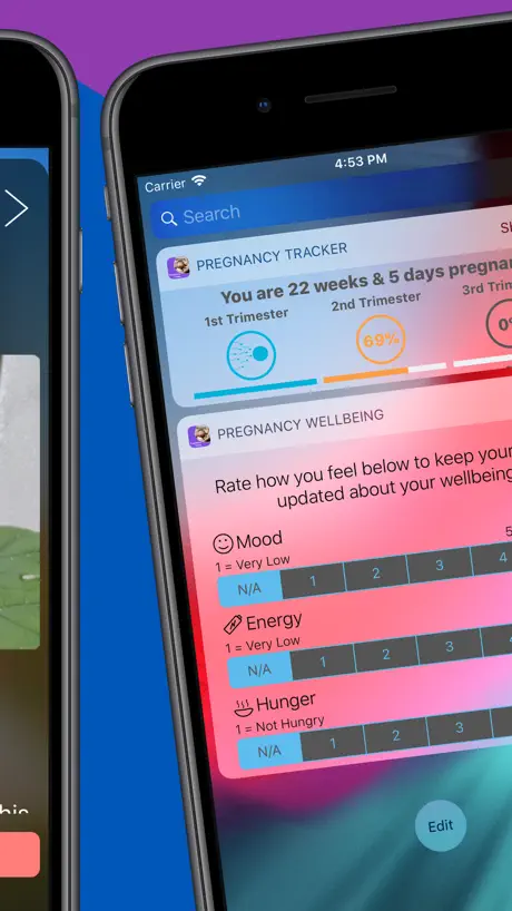 Pregnancy Today - Baby Tracker
