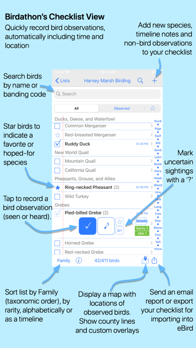 Birdathon Screenshot