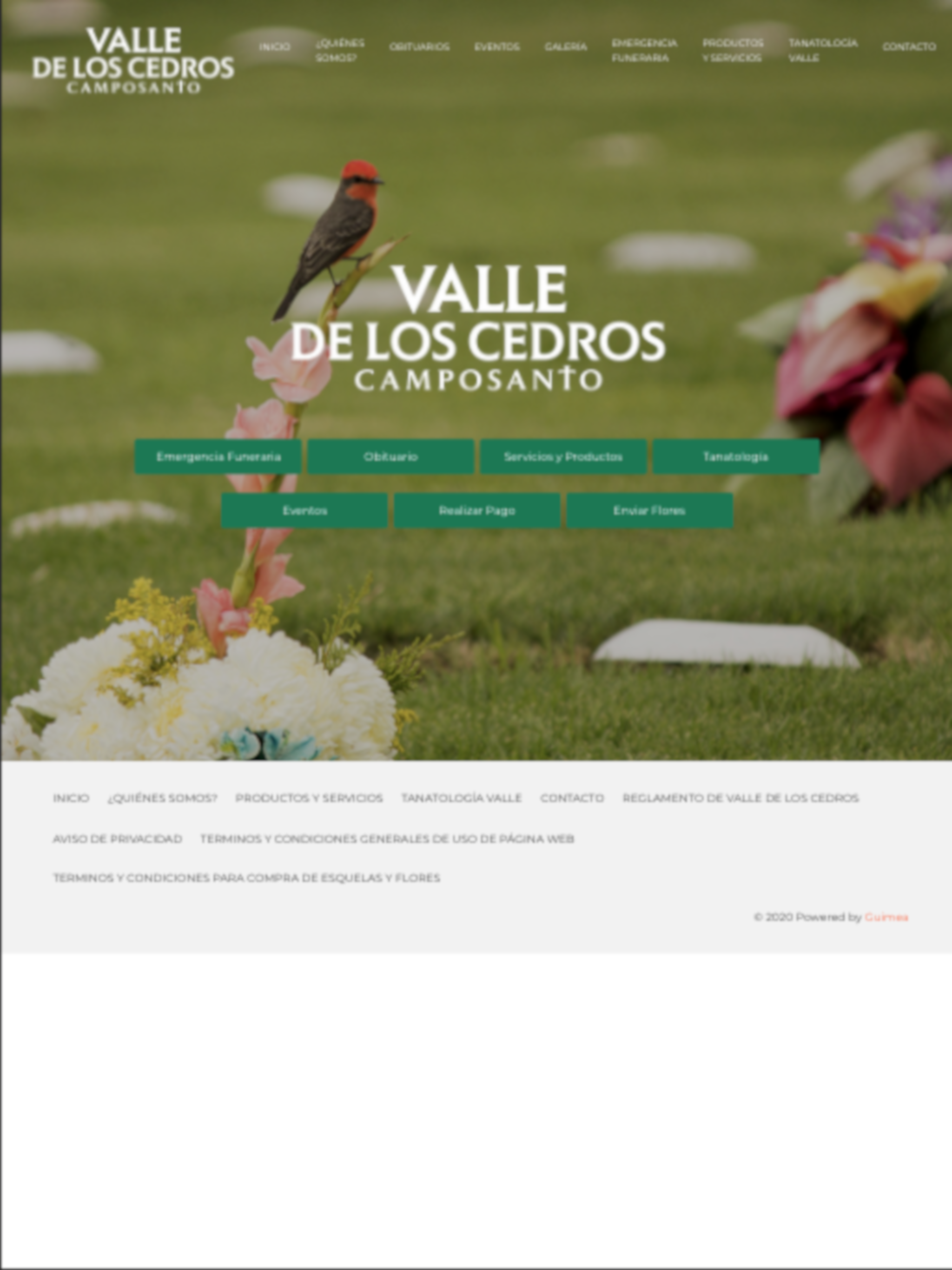 Valle de los Cedros