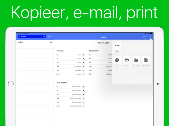 Italiaanse Werkwoorden (Plus) iPad app afbeelding 4