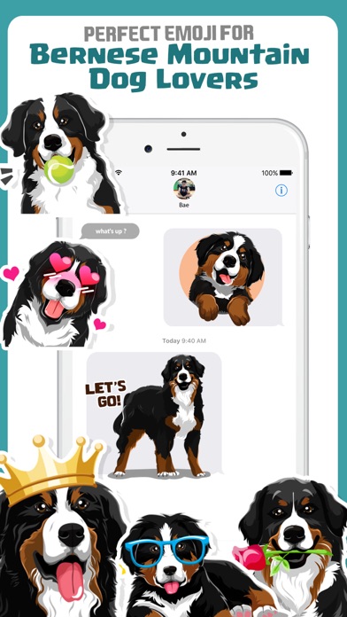 Bernese Mountain Dog Emoji Screenshot 1 - AppWisp.com Bernese Mountain Dog Emoji Screenshot 1 - AppWisp.com