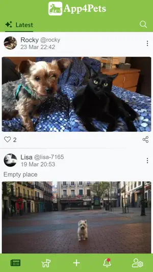 App4Pets - Pets social network screenshot 1