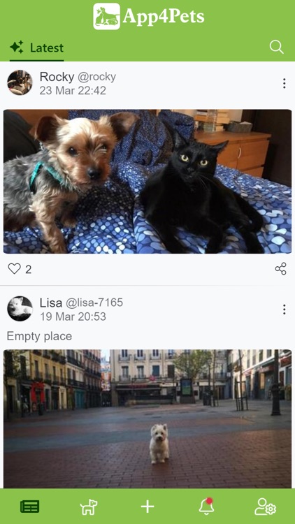 App4Pets - Pets social network