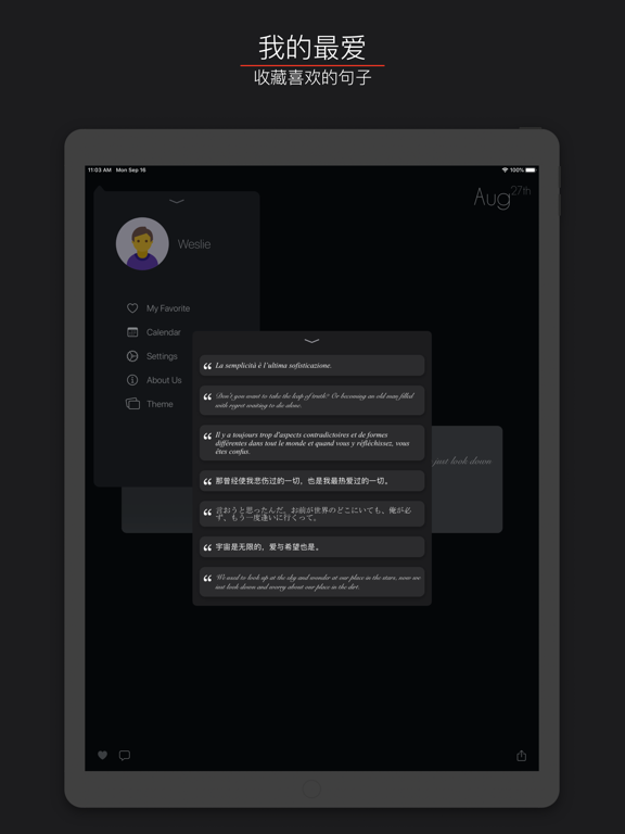 简 · 阅 - Simple Reader iPad screenshot