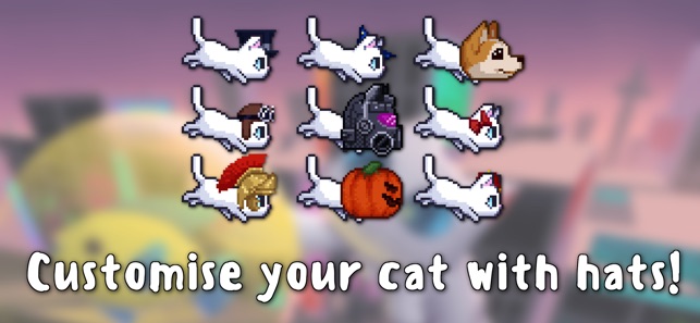 Bubbles the Cat(圖5)-速報App