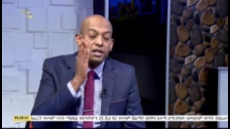 Addis Media Network (AMN)