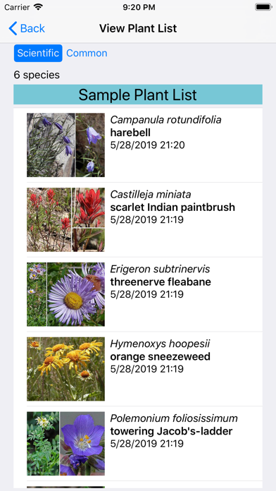 New Mexico Wildflowers Screenshot