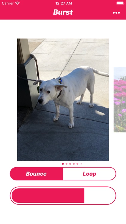 The Burst App