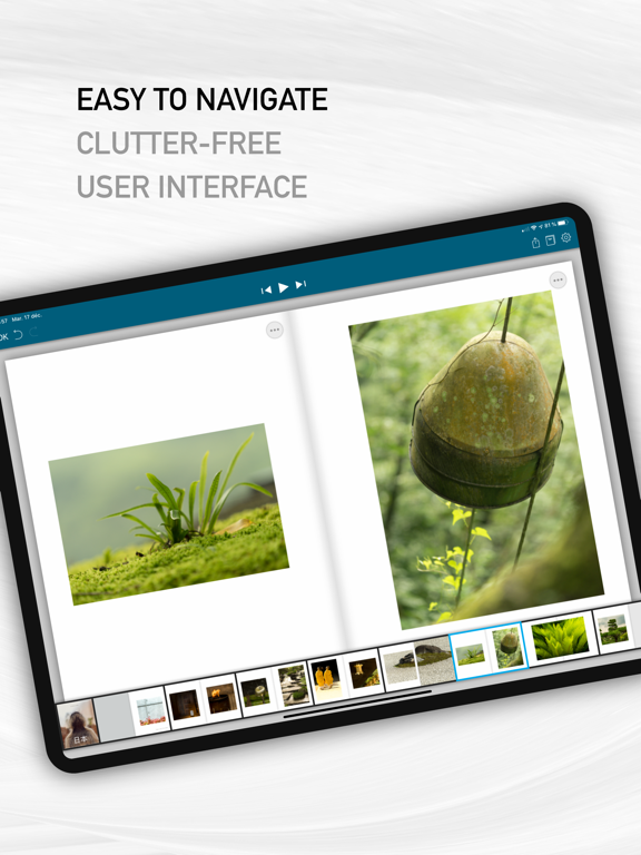 SlideBook iPad screenshot 2 - Photo & Video app