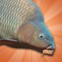 Carp Fishing Simulator app download